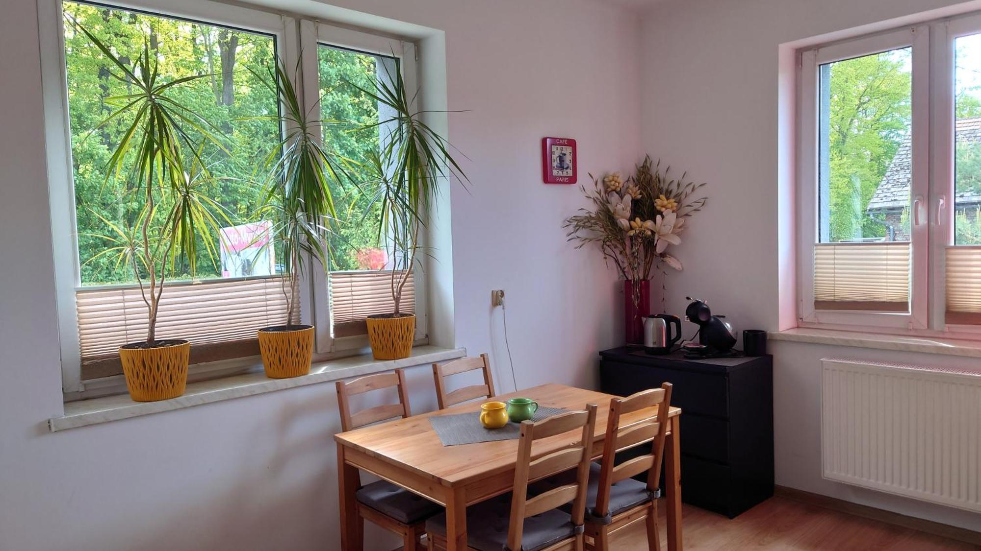 Apartament Natalia Żywiec Exterior foto